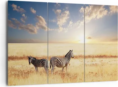 Produktbild von Bild auf Leinwand - Leinwandbild - Zebra tier gestreift savanne - 165x110cm - Wand Bild - Wanddeko - Leinwanddruck - Bilder - Kunstdruck - Wanddekoration - Leinwand bilder - Wandkunst - CE165x110-2596