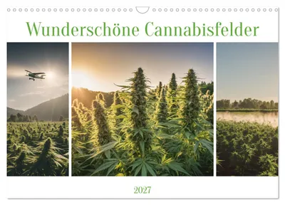 Produktbild von Wunderschöne Cannabisfelder (Wandkalender 2027 DIN A3 quer), CALVENDO Monatskalender
