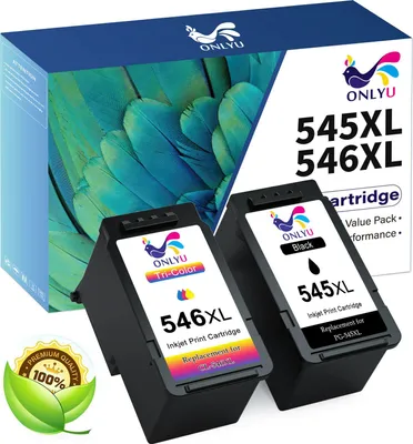 A product shot of two ink cartridges and their packaging.