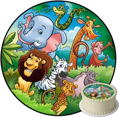 Obrázok produktu pre Okrúhly vrchnák na tortu Safari 20 cm, prémiový, vegánsky, bezlepkový, rezaný na mieru, s možnosťou personalizácie