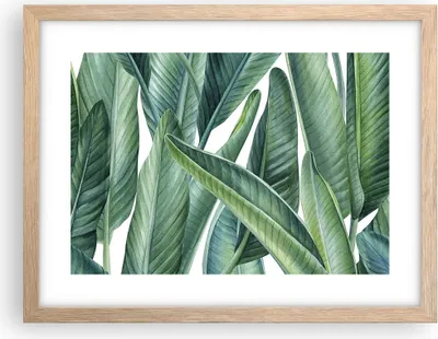 Produktbild von Gerahmtes Poster - Rahmen in heller Eiche - Exotisch Blätter Grün - 40x30 cm - Wand Bild - Wanddeko - Wandbilder - Wandposter - Bilderrahmen - Bilder - Kunstdruck - Wandbild - P2NAA40x30-4258