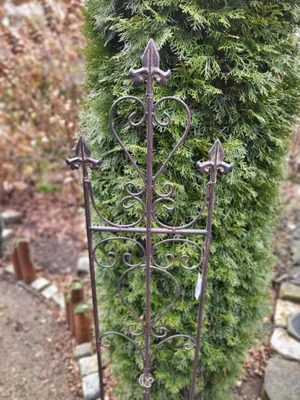 Produktbild von Edelrostoptik Rankgitter Varenna