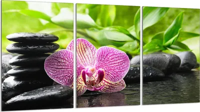 Produktbild von Glasschutzplatte für Herd 3x30x52