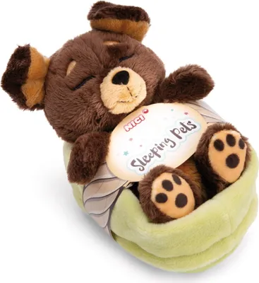 A brown teddy bear plush toy is sleeping in a green sleeping bag, with a tag attached.