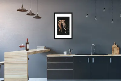 Produktbild von MuchoWow® MuchoWow® Gerahmtes Poster Elefant - Dschungel - Schwarz 40x60 cm - Poster mit zchwarzem Bilderrahmen - Poster in Rahmen