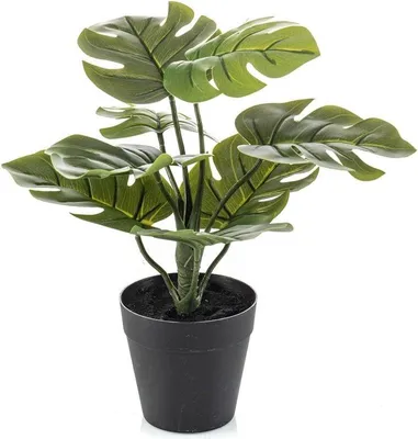 Produktbild von artplants.de Künstlicher Philodendron ROTLEY, Dekotopf, 30cm - Kunstpflanze Monstera deliciosa