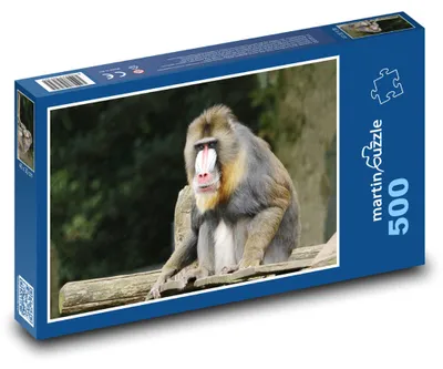 Obrázok produktu pre Puzzle 500 Mandríl v džungli - martinpuzzle