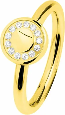 Immagine prodotto di Anello da donna ERNSTES DESIGN R460.WH in acciaio inossidabile placcato oro 55