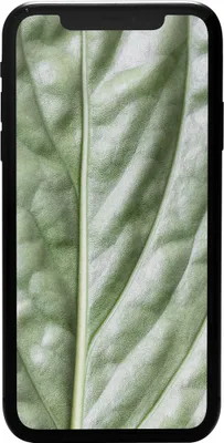 Produktbild von #GOECO iPhone 11, 15,5 cm (6.1"), 1792 x 828 Pixel, 4 GB, 64 GB, 12 MP, Schwarz