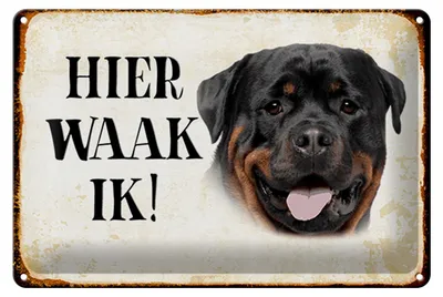 Produktbild von Blechschild Spruch 30x20cm holländisch Hier Waak ik Rottweiler