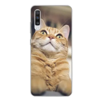 Produktbild von MuchoWow® Handyhülle Schutzhülle Hülle für Samsung Galaxy A70 Katze - Bank - Orange Silikon Softcase Handy Hülle - Schutzhaube