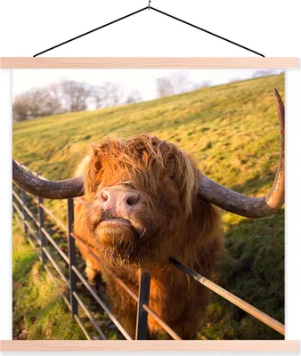 Produktbild von MuchoWow® Textilposter Scottish Hochlandrind - Zaun - Gras 40x40 cm mit holzfarbenen Rahmen - Posterleiste