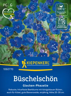 Produktbild von Kiepenkerl Büschelschönsamen Glocken-Phazelie Phacelia campanularia 60 Pflanzen