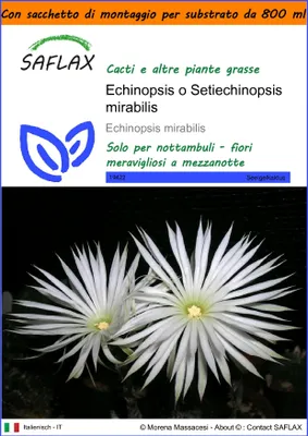 Immagine prodotto di SAFLAX Garden in the bag - Echinopsis o Setiechinopsis mirabilis - 40 semi - Echinopsis
