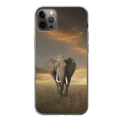 Produktbild von MuchoWow® Handyhülle Schutzhülle Hülle für iPhone 12 Pro Max Elefant - Tiere - Gras - Natur Silikon Softcase Handy Hülle - Hartschale