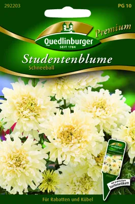 Produktbild von Quedlinburger Saatgut - Studentenblumen Schneeball - Samen - 292203