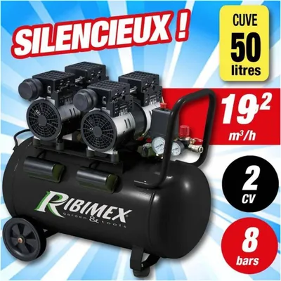 Image de Compresseur Électrique 2 x 1CV 50L - Silencieux - Haute Performance - Idéal pour Travaux de Bricolage - D-Work