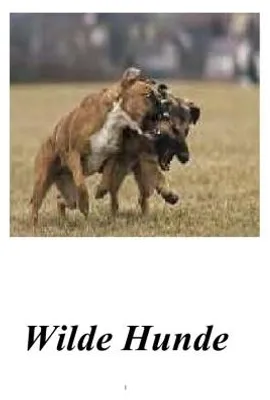 Produktbild von Wilde Hunde