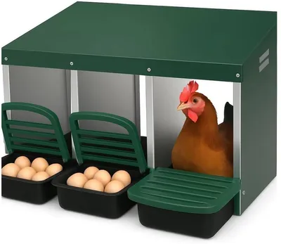 Produktbild von 3-teilige Hühner Legenester – Hühnernest mit schrägen Legeschalen – Hühnerstall Nestbox mit Bodenöffnungen – Grün