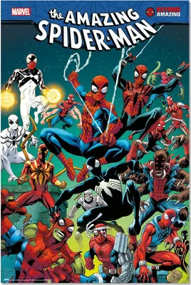 Produktbild von Marvel - Spiderman Web - Poster 61x91,5 cm