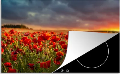 Produktbild von KitchenYeah© Herdabdeckplatte Sonnenuntergang über einem Feld von Mohnblumen , 80x52cm, Küche Deko, Glaskeramikkochfeld Herdabdeckung, Abdeckplatte fùr Kochfeld