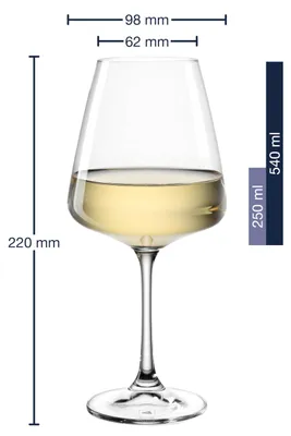 Produktbild von LEONARDO HOME Paladino Kelch-Glas Set - 12er Set - Weißwein- - Rotwein- und Sekt-Gläser - spülmaschinenfeste Kelch-Gläser - Sekt- und Weingläser-Set -