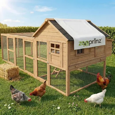 Produktbild von zooprinz Hühnerstall Happy Huhn XXL mit riesen Auslauf wetterfestes lasiertes Massivholz 300x121x152cm (BxTxH)