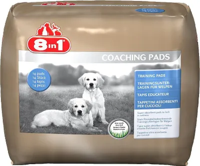 Produktbild von 8in1 Trainingsunterlagen 14 Stück