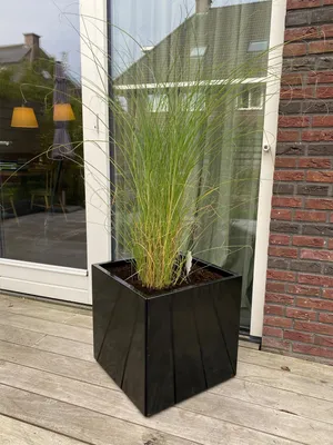 Immagine prodotto di Fioriera - Vaso da fiori in acciaio zincato nero 50 x 50 x 50 cm - Al pezzo