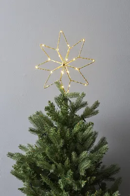 Produktbild von Star Trading LED-Baumspitze "Topsy", Sternform, gold, outdoor