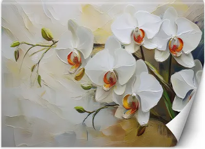 Produktbild von Vlies fototapete Weiß gemalte Blumen 300x210 cm Feeby Weiß inkl. Kleber einfache Montage