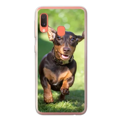 Produktbild von MuchoWow® Handyhülle Schutzhülle Hülle für Samsung Galaxy A20e Ein sprintender Dackel Silikon Softcase Handy Hülle - Abdeckung