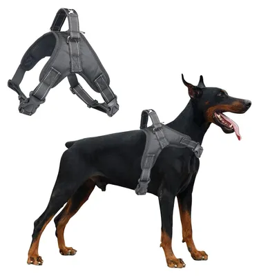 Immagine prodotto di Imbracatura regolabile per cani con strisce riflettenti