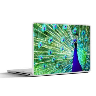Produktbild von MuchoWow® Laptop Aufkleber Sticker Cover Pfau - Federn - Nahaufnahme 25x18 cm - Laptop-Deko