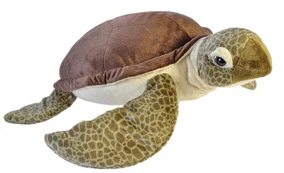 A plush toy sea turtle is shown against a white background.