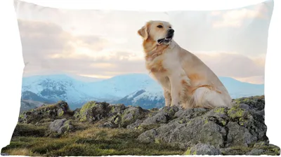 Produktbild von MuchoWow® Zierkissen Sofakissen Wohnzimmer Dekokissen 50x30 cm Ein Golden Retriever sitzt auf den Felsen - Wohnzimmerdekoration - Polster mit Photo