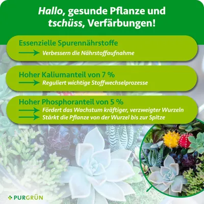 Produktbild von Purgrün Sukkulenten-Dünger 1 Liter,