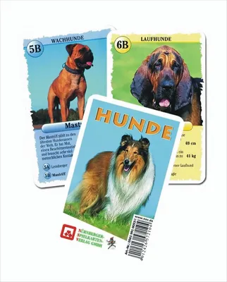 Produktbild von Quartett Hunde