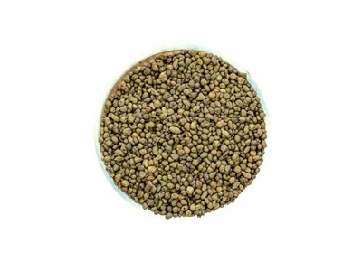 Obrázok produktu pre AGRO CS a.s. Keramzit 8-16mm, 1 l - BEZ OBALU