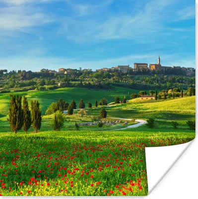 Produktbild von MuchoWow® Poster Toskana - Landschaft - Blumen 50x50 cm - Wohnzimmerdekoration