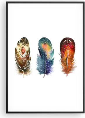 Produktbild von Gerahmtes Poster - Schwarzer Rahmen - Feder Vogel Farbe - 70x100 cm - Wand Bild - Wanddeko - Wandbilder - Kunstposter - Wandposter - Bilderrahmen - Bilder - Kunstdruck - P2BPA70x100-4927