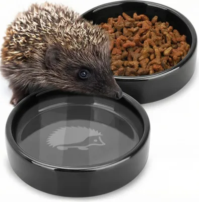 Produktbild von Igel Futterschale + Trinkschale (2er Set)