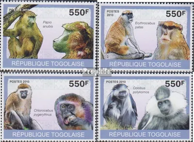 Produktbild von Briefmarken Togo 2010 Mi 3484-3487 (kompl.Ausg.) postfrisch Affen