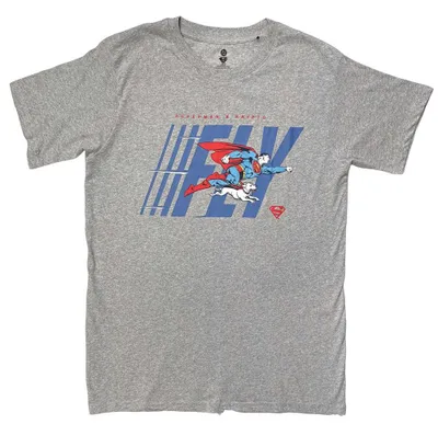 Image de Superman - T-shirt pour hommes/femmes, modèle unie, RO17780 (Taille S) (Gris)