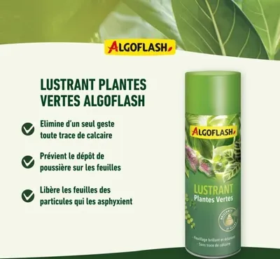 Image de Lustrant Plantes Vertes Algoflash, 250 mL, Élimine Calcaire, Compatible Agriculture Biologique