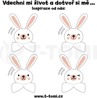 Image de T-TOMI Sucette d'amour en mousseline