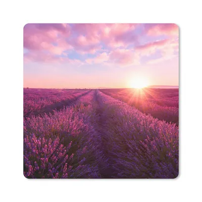 Produktbild von MuchoWow® Mauspad Mousepad Lavendel - Blumen - Frankreich 20x20 cm - Mousepads - Maus Mat - Pad - Mausunterlage - Desk Mat - Bureauartikeln