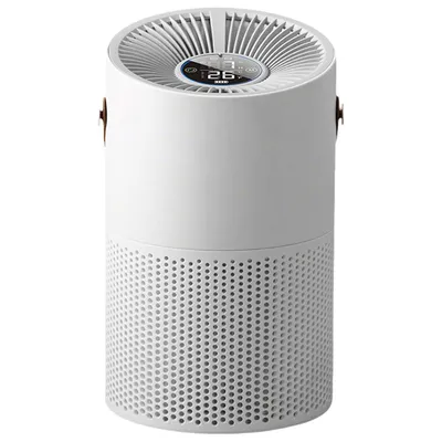 Produktbild von Raumluftreiniger für Allergiker mit H13 HEPA-Luftfilter, der 99,97 % von Schimmel, Staub und Pollen bekämpft