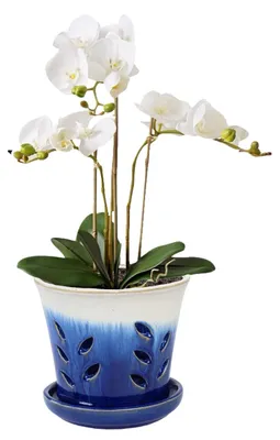 Produktbild von Keramische Orchideen-Pflanztopf mit Abflusslöchern und Unterteller
