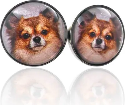 Produktbild von Ohrringe Ohrstecker 316L Chirurgenstahl mit Chihuahua